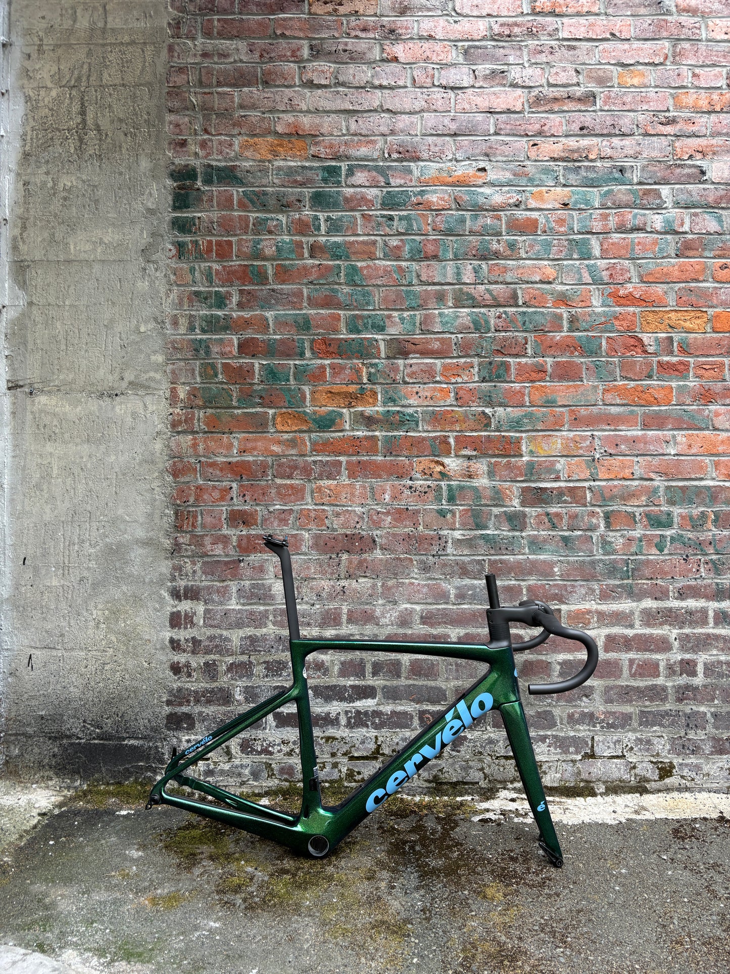 Cervelo Caledonia-5 Frameset Oasis 54cm