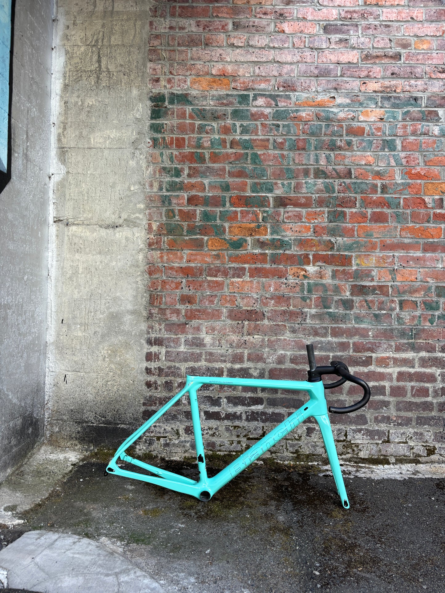 Bianchi Specialissima 55cm