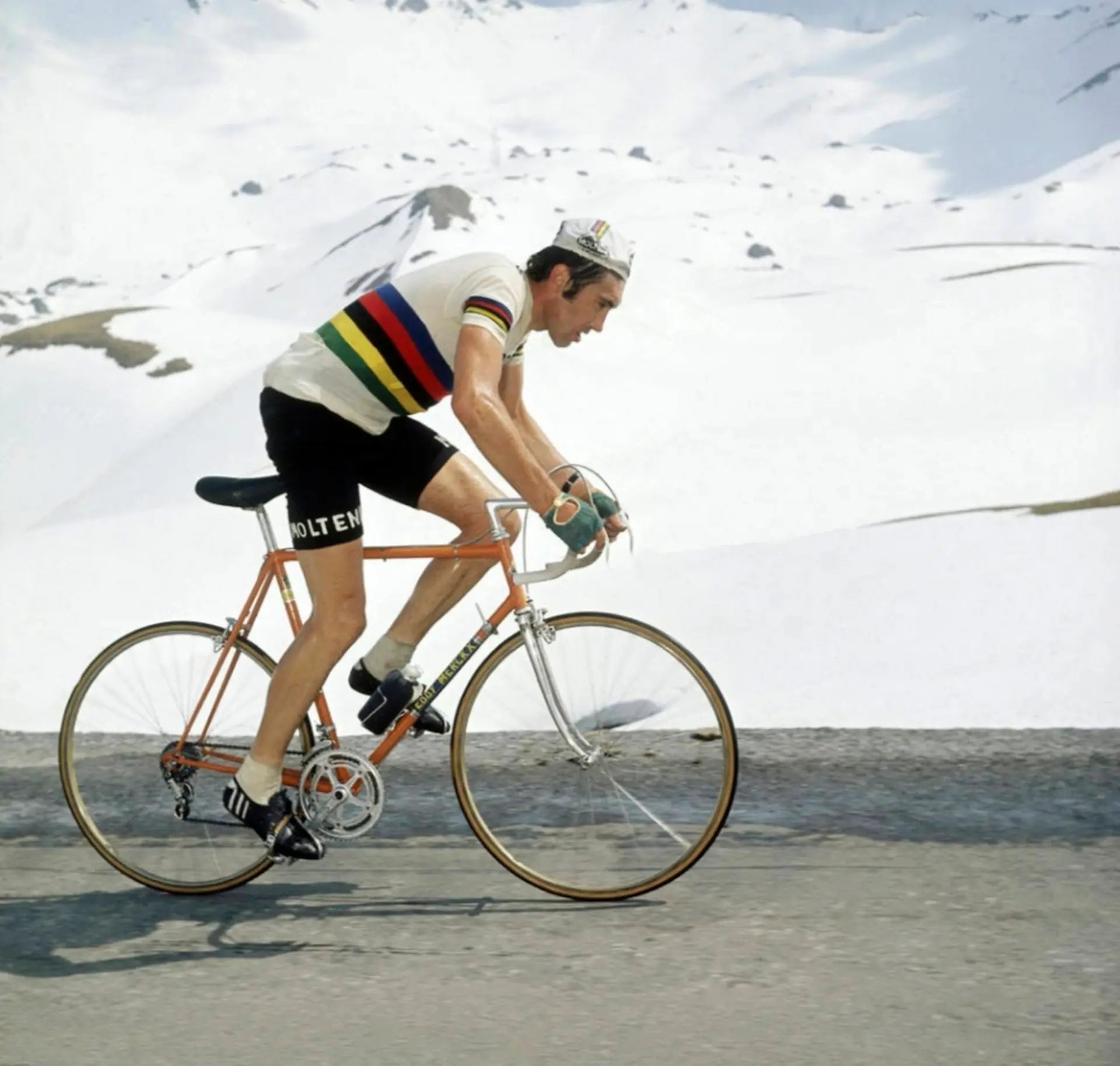 Colnago