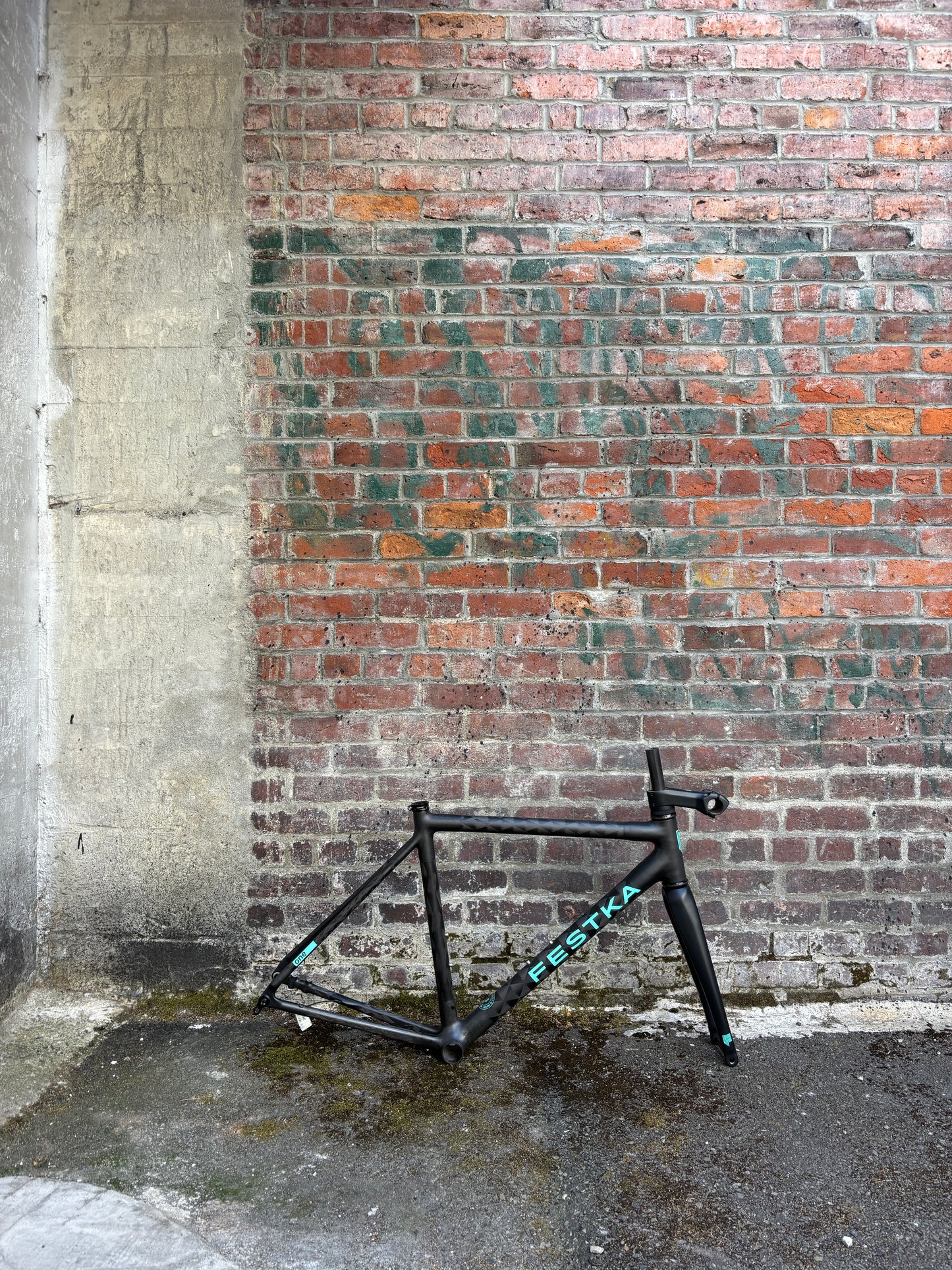 Festka ONE Disc Frameset Medium