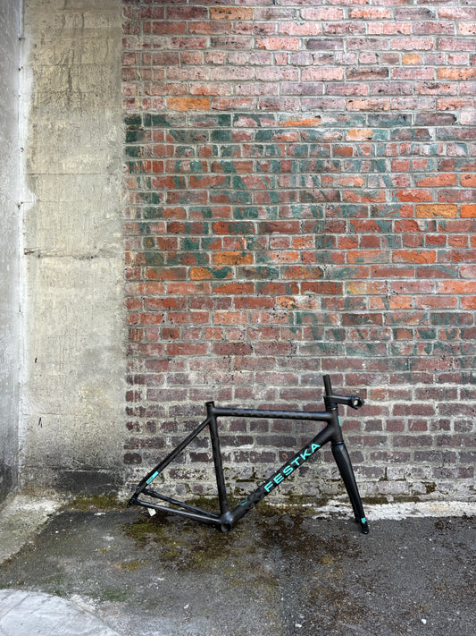 Festka ONE Disc Frameset Medium
