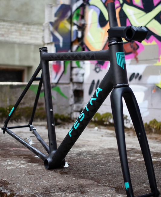 Festka ONE Disc Frameset Medium